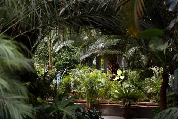 2022天津熱帶植物觀光園門(mén)票多少錢 附最新開(kāi)放時(shí)間及地址