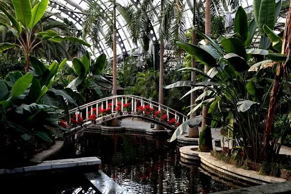 2022天津熱帶植物觀光園門(mén)票多少錢 附最新開(kāi)放時(shí)間及地址
