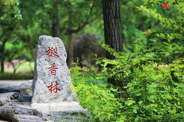 北京香山公園一日游最佳路線(xiàn)推薦
